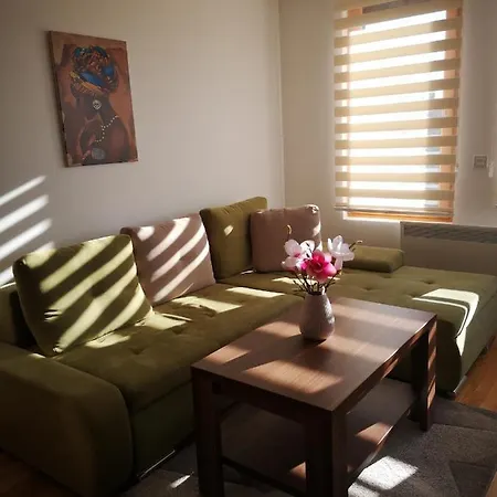 Apartament Teodora *