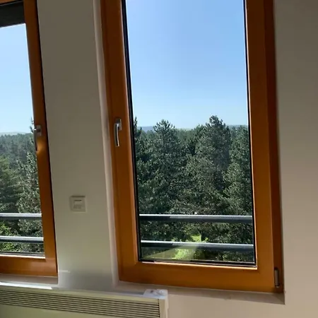 Διαμέρισμα Teodora Ζλάτιμπορ